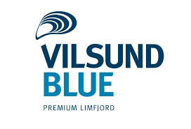 vilsund blue logo